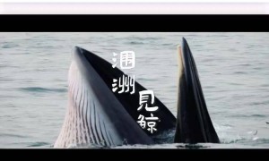2024中国无人机影像大赛50个荣誉在京揭晓，《星际穿越之着陆重庆》摘得年度作品